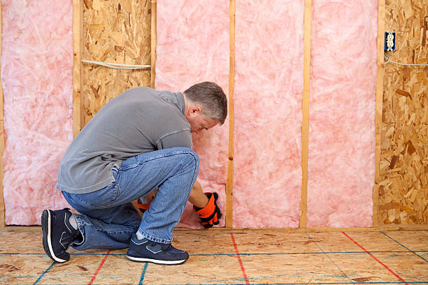 Best Batt and Roll Insulation  in Golden Beach, MD